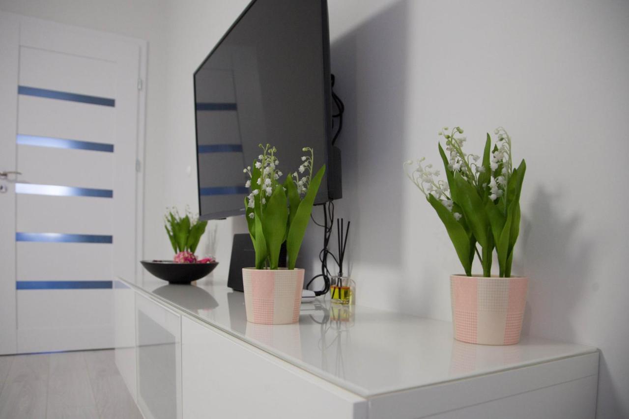 Apartment Borowska *